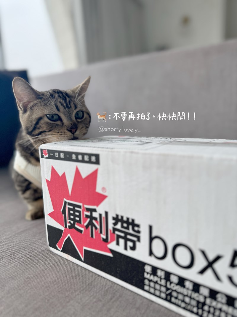 女人知己試用大隊,口碑行銷,部落客行銷,PURRFACT 波菲特貓用主食罐,主食罐,PURRFACT波菲特,貓主食罐,貓罐,PURRFACT波菲特貓用主食罐,魚肉蔓越莓主食罐,鮮嫩雞主食罐,鹿肉雞肉主食罐,牛肉鵪鶉貓主食罐,干貝蠶蛹配方,鱷魚肉白木耳配方,雞肉魚肉配方,安心鶉配方,評價,體驗,適口性佳,心得,成貓適用,高齡貓適用,質地是慕絲狀